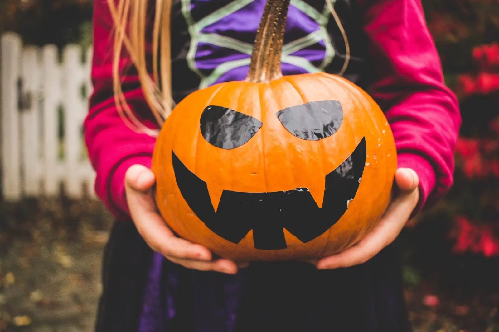 Image credit: Unsplash | Julia Raasch