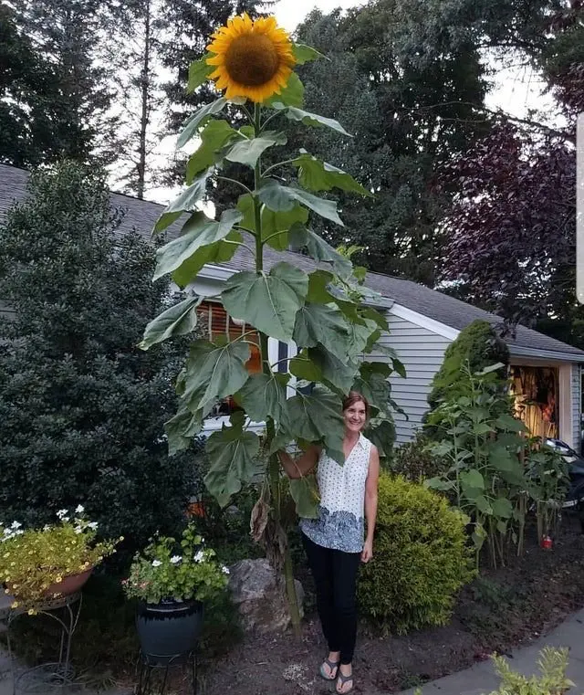 Image credit: Reddit | Verryfastdoggo