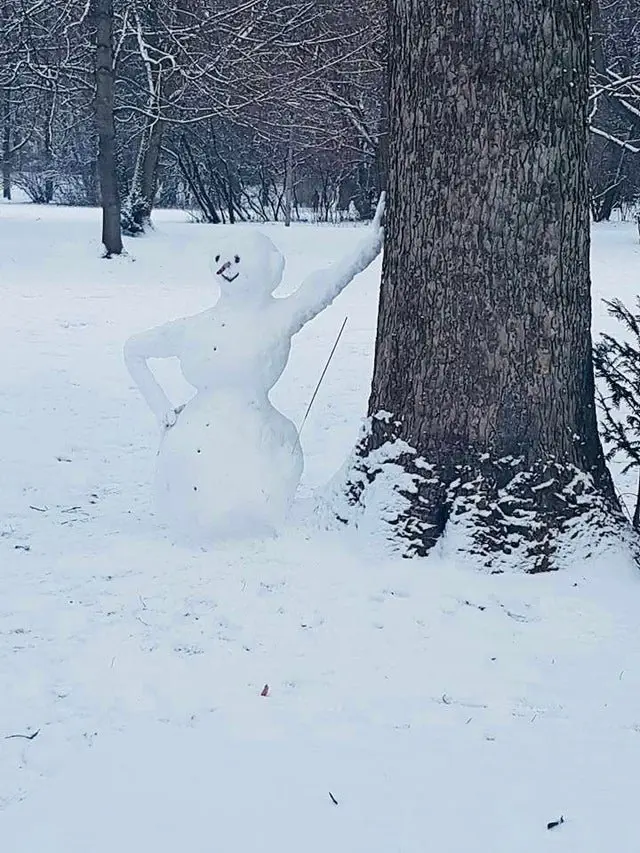 Image credit: Reddit | Fuzzie8