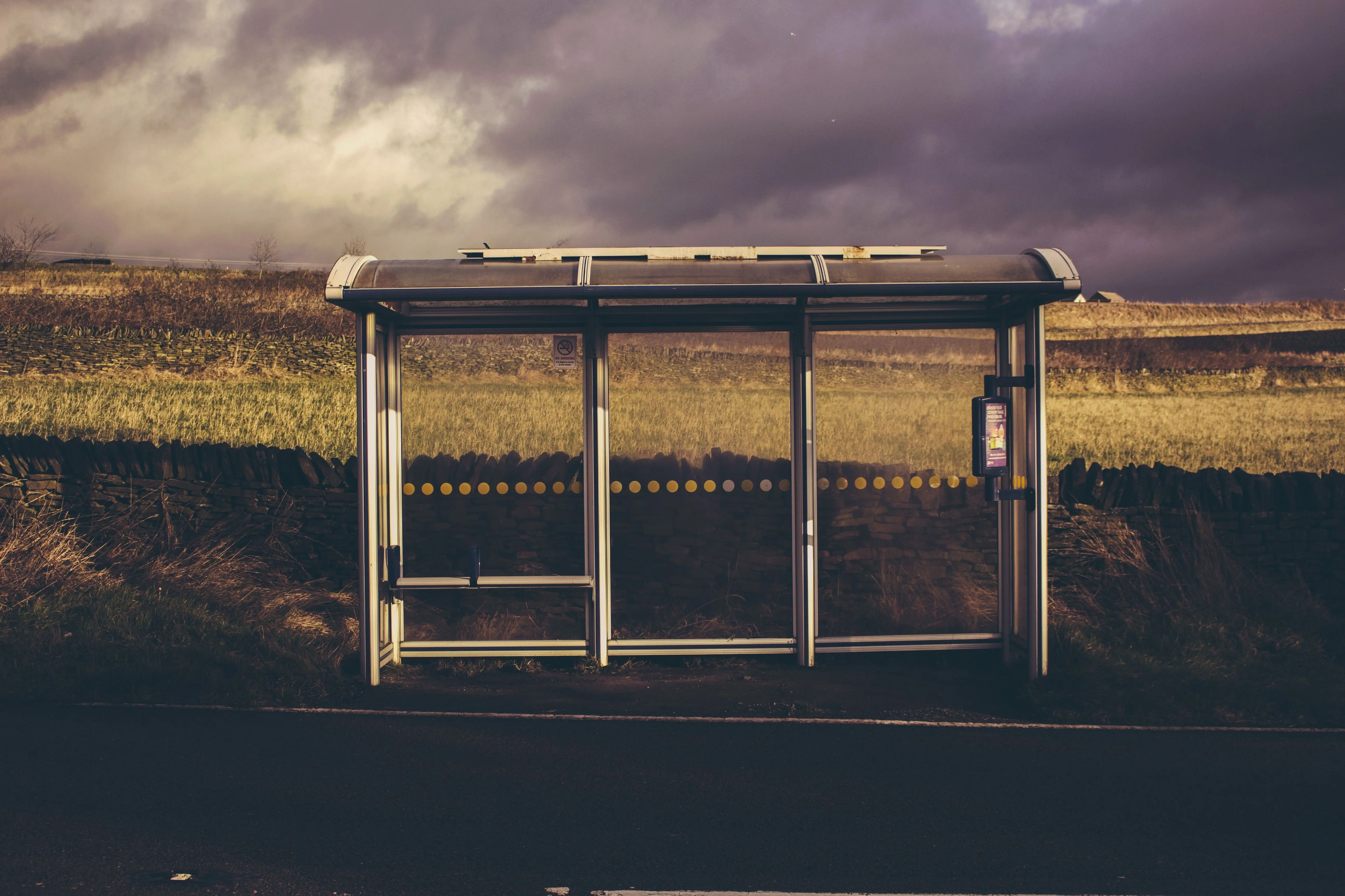 Image credit: Unsplash | Samuel Foster