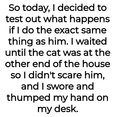 Image credit: -like-a-baka- | -like-a-baka-