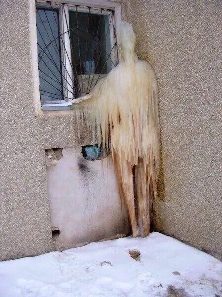 Image credit: Reddit | stangytangy