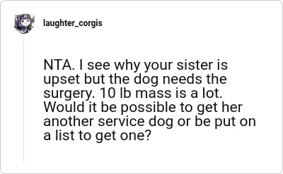 Image credit: laughter_corgis | laughter_corgis