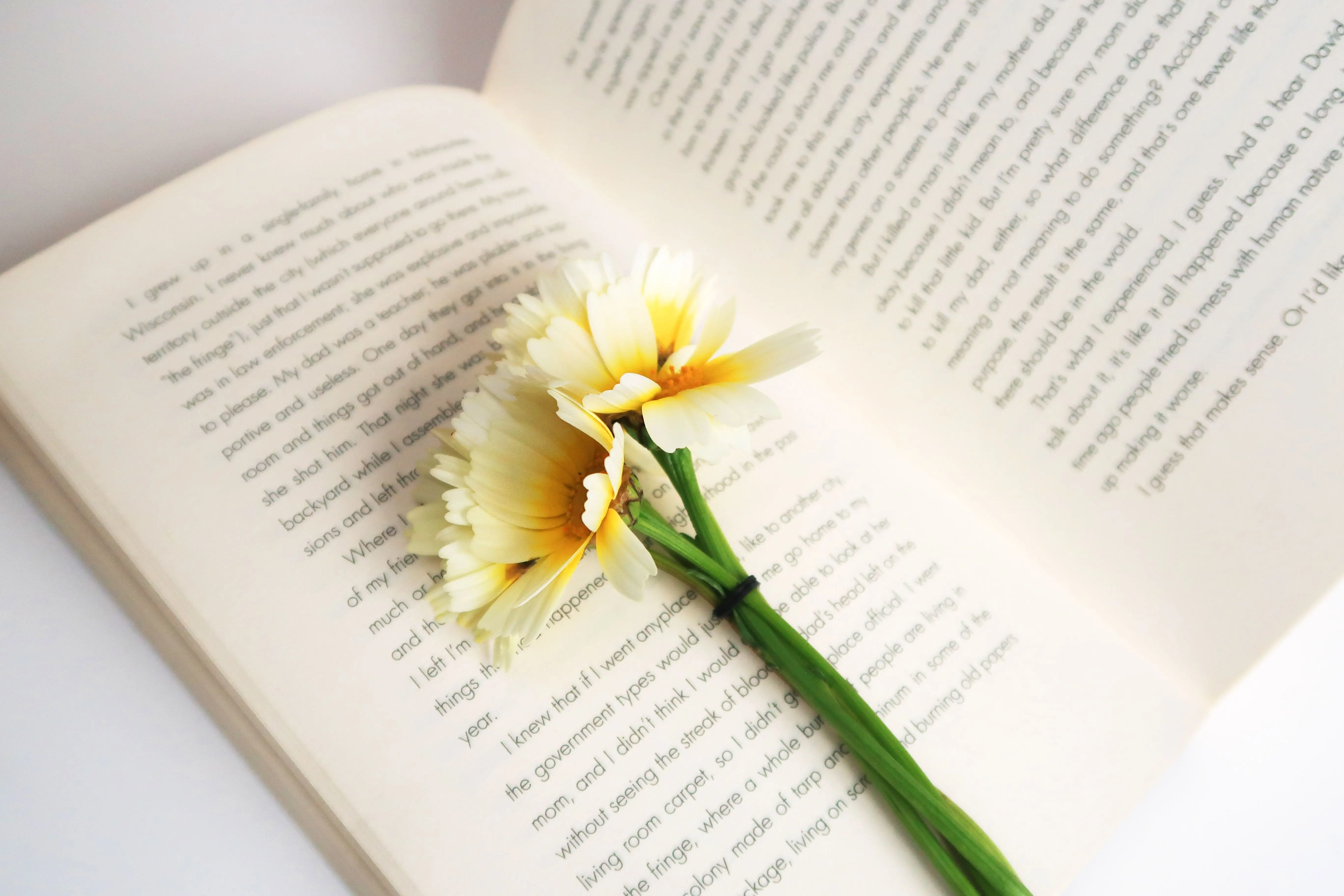 Image credit: Unsplash | Daniela