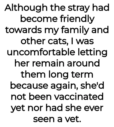Image credit: catladyaita | catladyaita