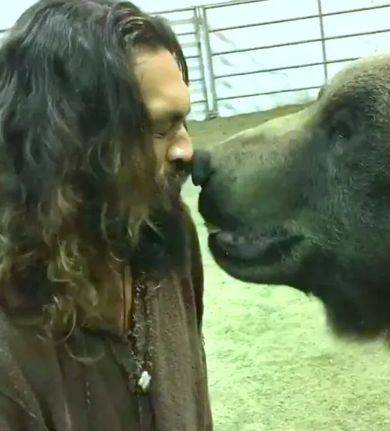 Image credit: Instagram | @prideofgypsies