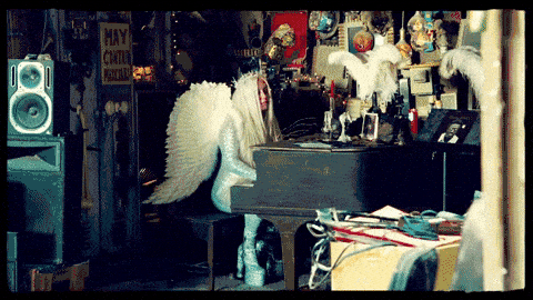 Image credit: Giphy | Kesha