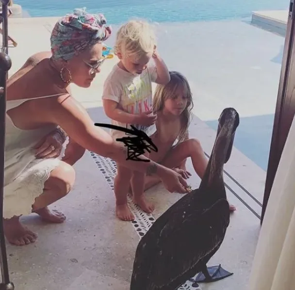 Image credit: Instagram | @pink