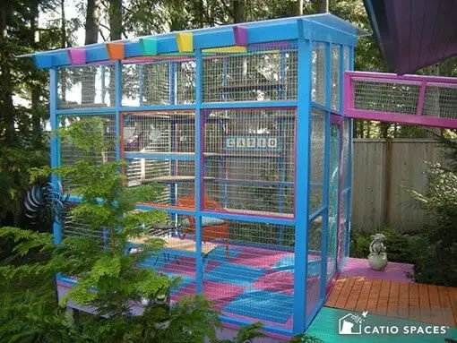 Image credit: Catio Spaces