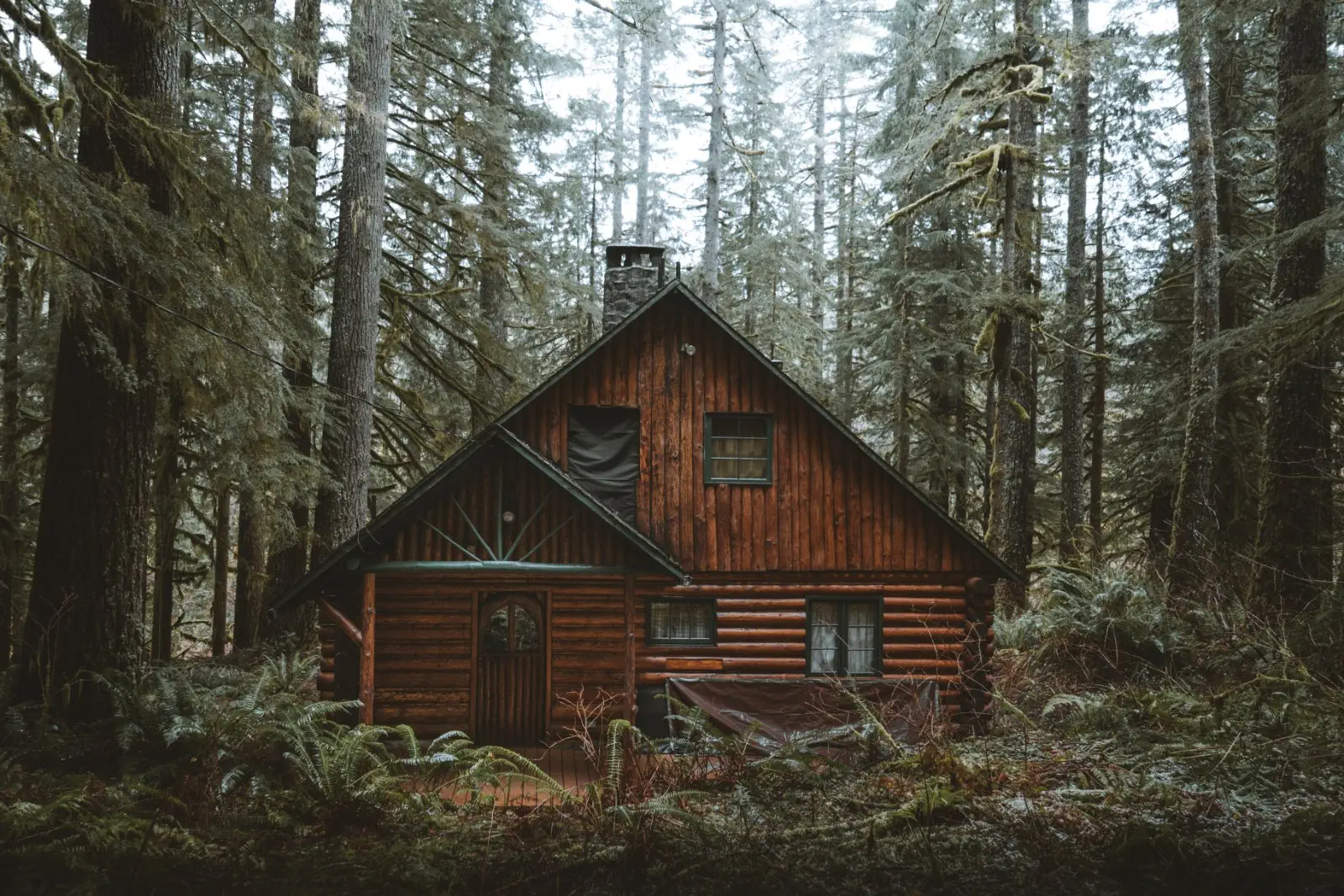 Image credit: Unsplash | Peter Thomas