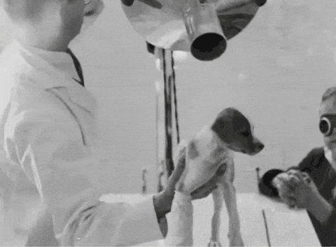 Image credit: Giphy | US National Archives