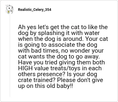 Image credit: Realistic_Celery_354 | Realistic_Celery_354
