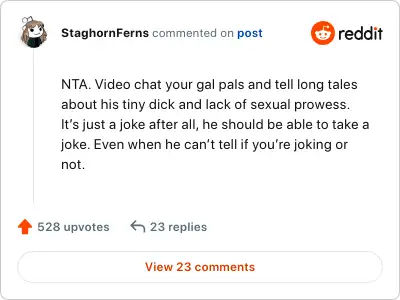 Image credit: StaghornFerns | StaghornFerns