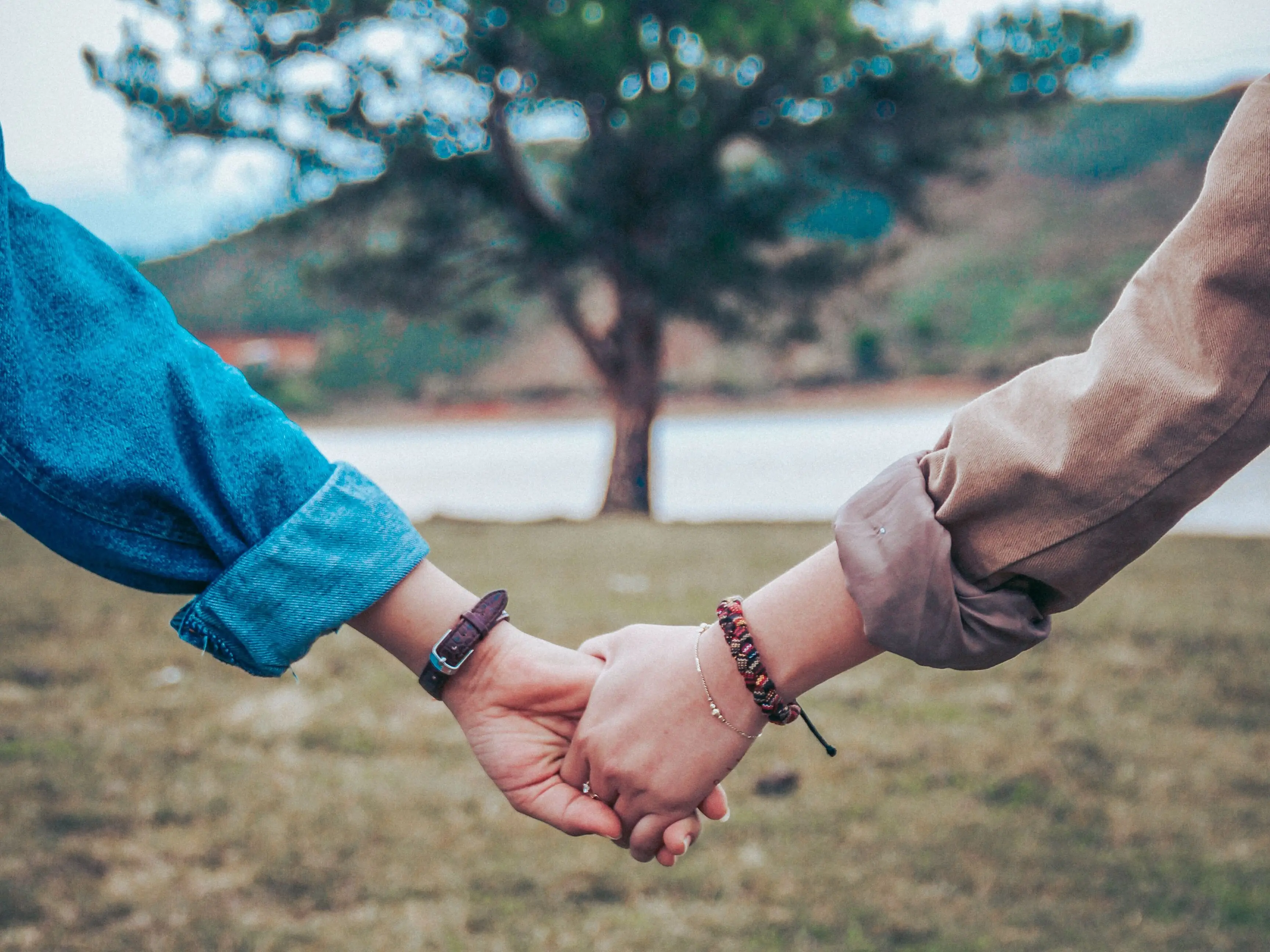 Image credit: Unsplash | Dương Hữu
