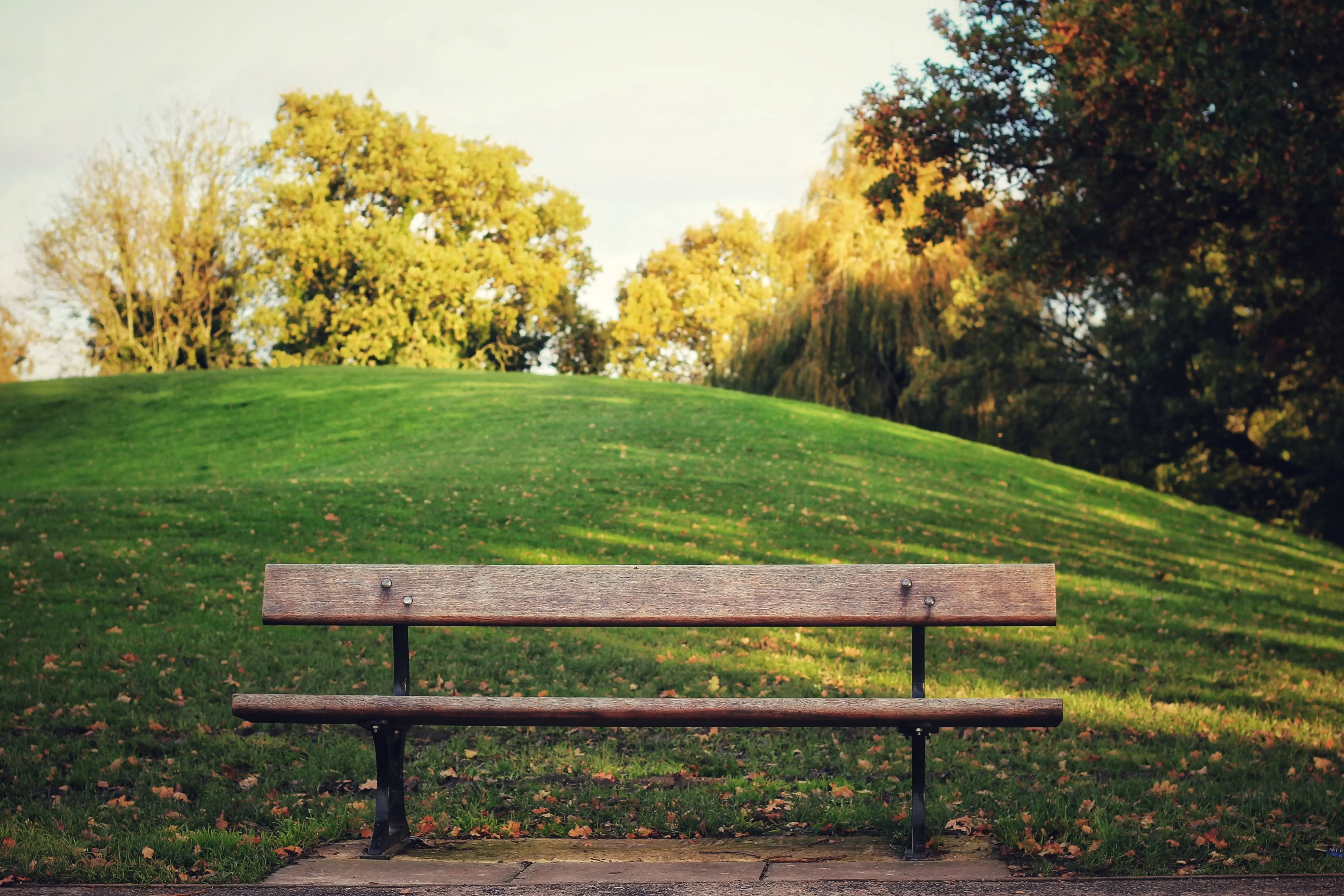 Image credit: Unsplash | Metin Ozer