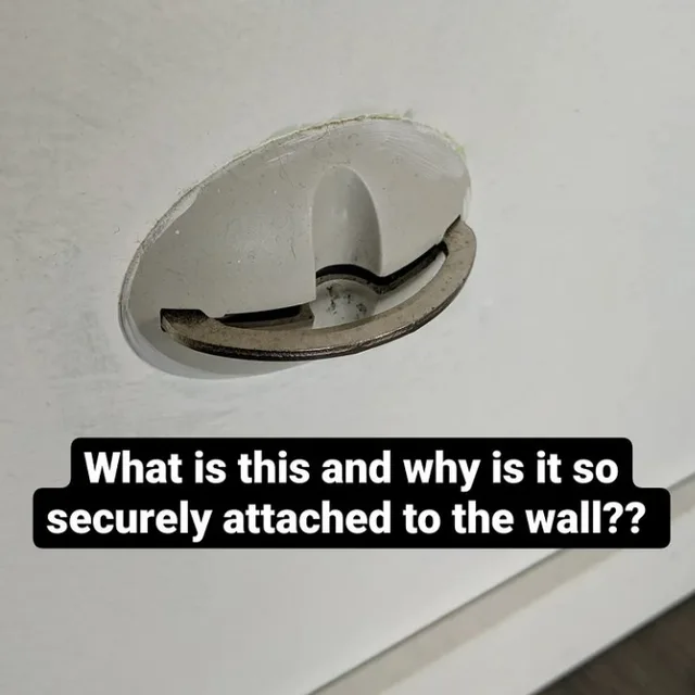 Image credit: reddit | Mad_scientwist