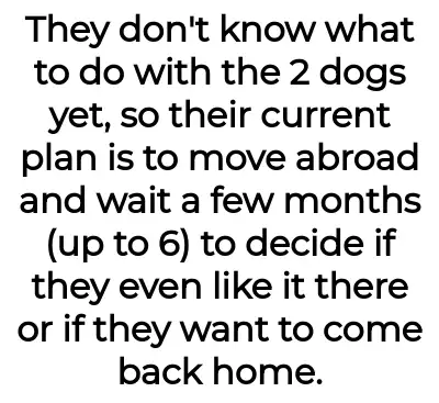 Image credit: freedogsitter | freedogsitter