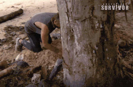 Image credit: Giphy | Australian Survivor