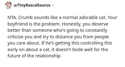 Image credit: TinyRascalSaurus | TinyRascalSaurus