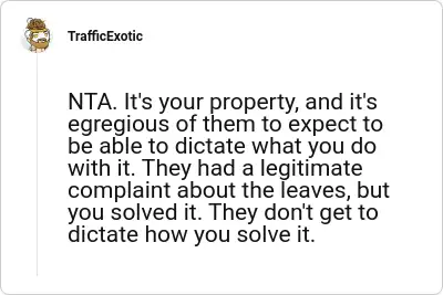 Image credit: TrafficExotic | TrafficExotic