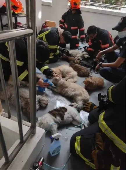 Image credit: Facebook | Singapore Civil Defence Force