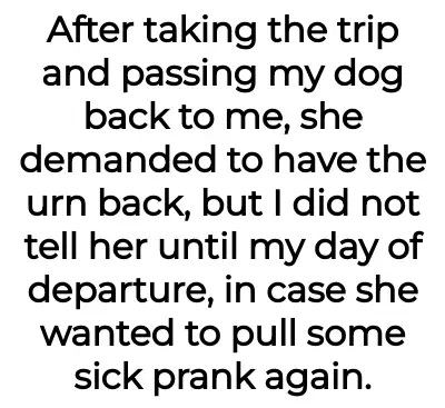 Image credit: ok-gap-594 | ok-gap-594