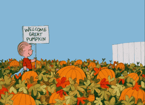Image credit: Giphy