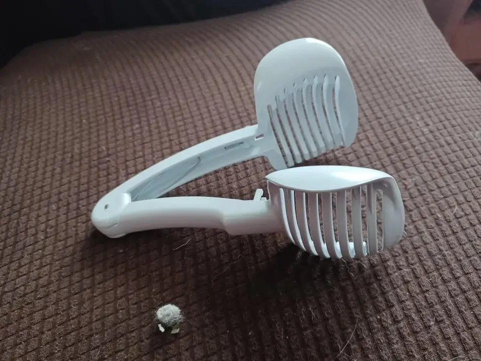 Image credit: reddit | ExplicitPancake