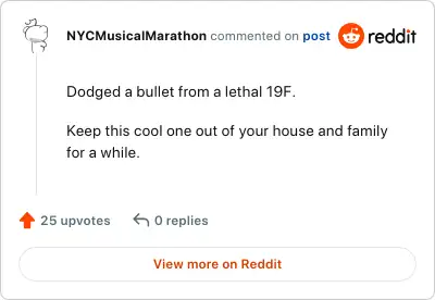 Image credit: NYCMusicalMarathon | NYCMusicalMarathon