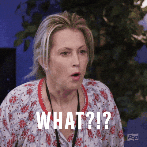 Image credit: Giphy | Pop TV