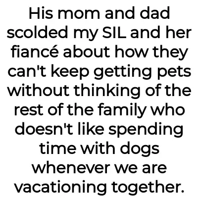 Image credit: dizzyastronaut5593 | dizzyastronaut5593