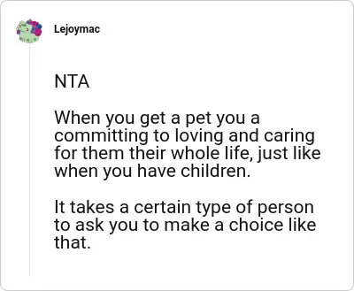 Image credit: Lejoymac | Lejoymac