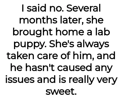 Image credit: mathematicianno9214 | mathematicianno9214