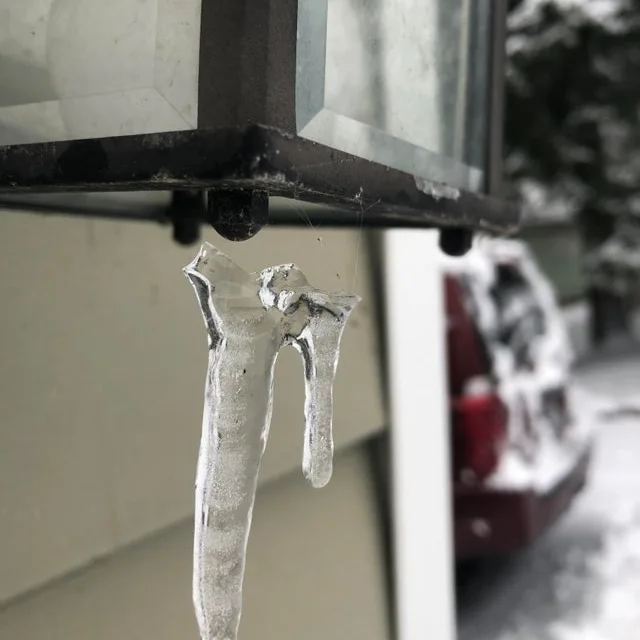 Image credit: Reddit | drewpweiner9991