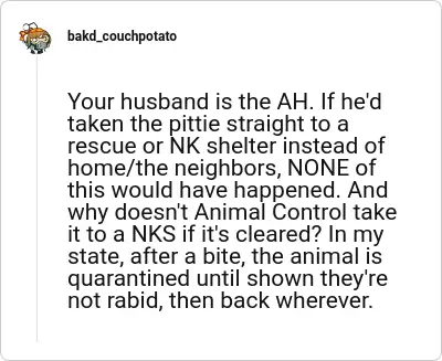 Image credit: bakd_couchpotato | bakd_couchpotato