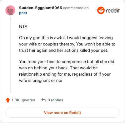 Image credit: Sudden-Eggplant8065 | Sudden-Eggplant8065