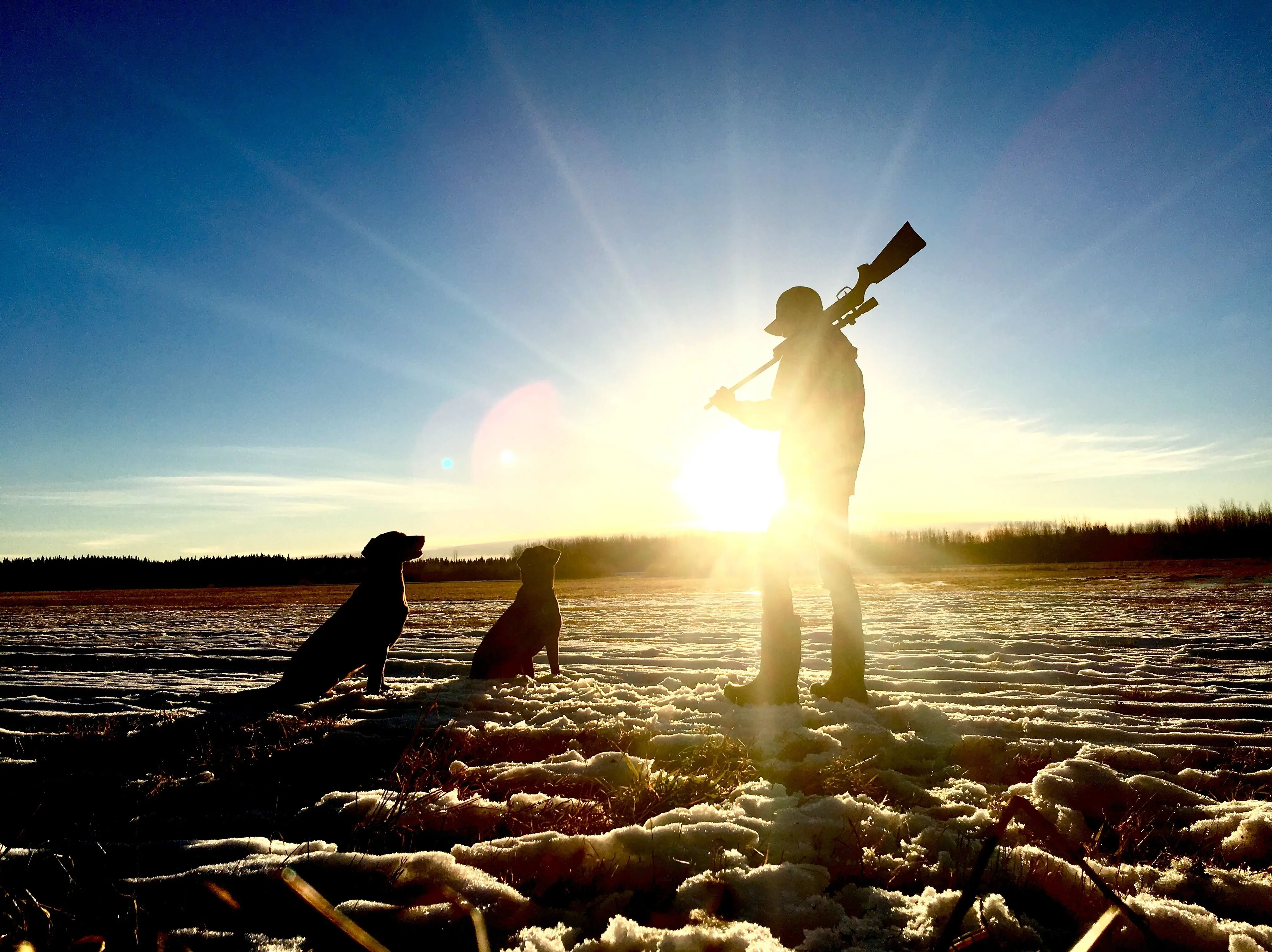 Image credit: Unsplash | seth schulte
