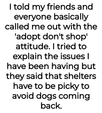 Image credit: throwawaychooseapup | throwawaychooseapup