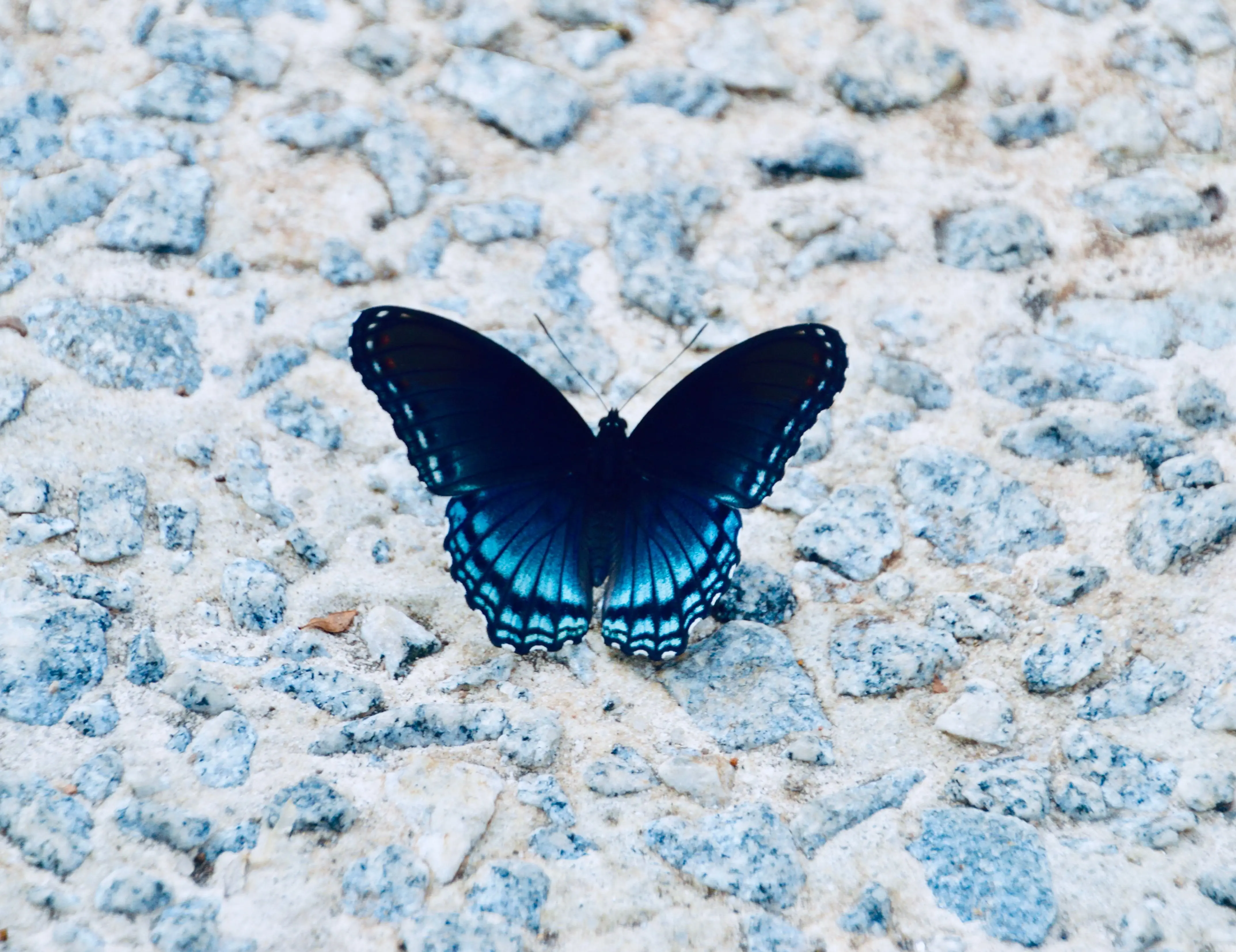 Image credit: Unsplash | Andra C Taylor Jr