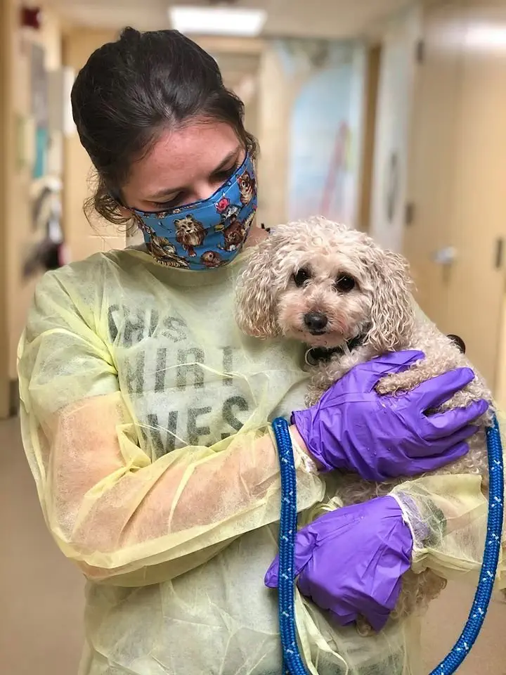 Image credit: Facebook | Monmouth County SPCA
