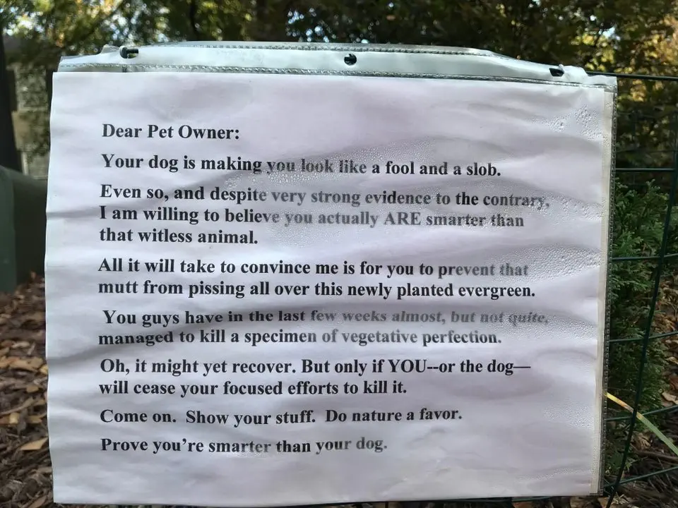 Image credit: Reddit | OneBadJoeFoe