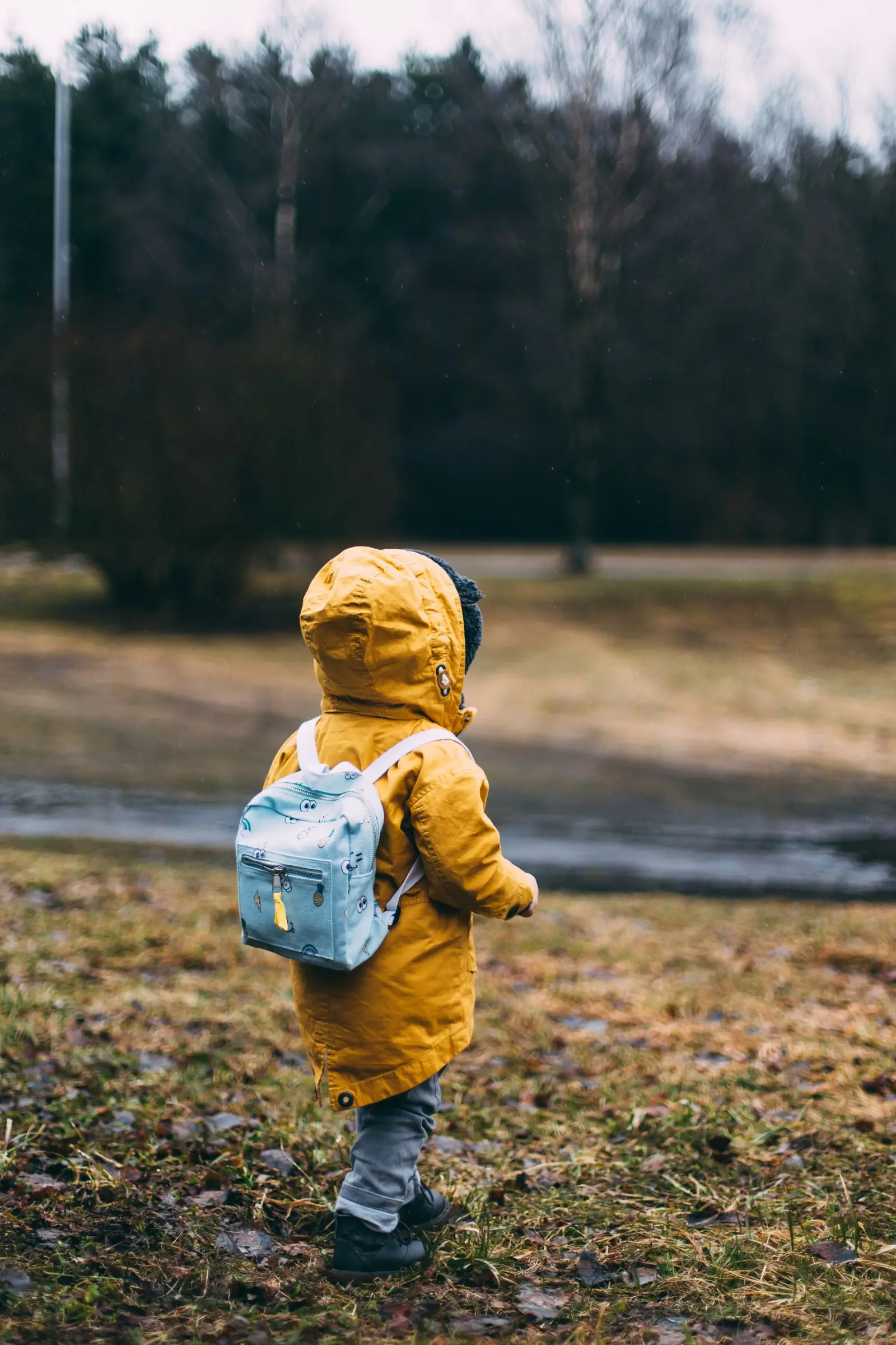 Image credit: Unsplash | Daiga Ellaby
