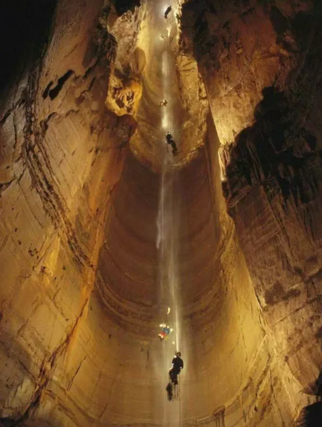Image credit: Reddit | SurpriseThere1
