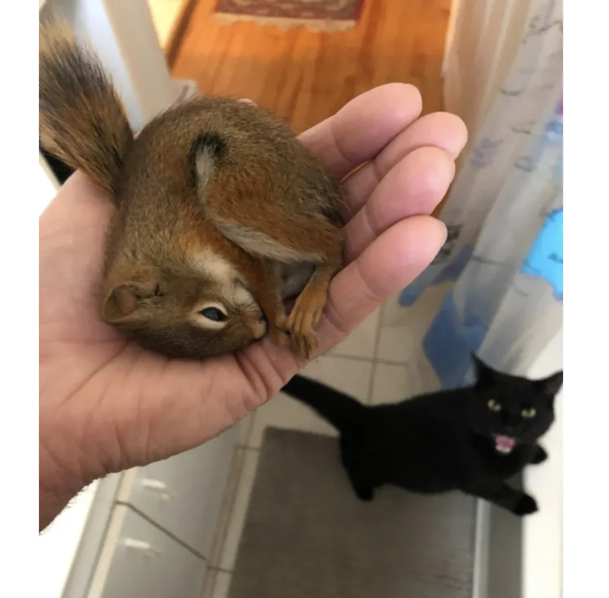 Image credit: Reddit | lucifersam73