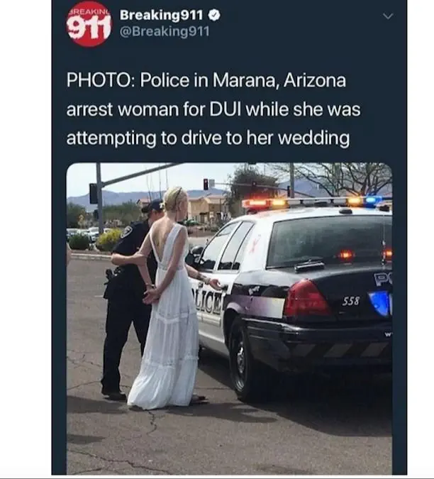 Image credit: reddit | u/Azurebluenomad