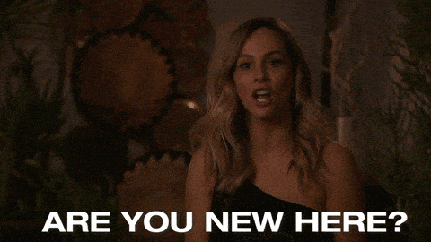 Image credit: Giphy | The Bachelorette