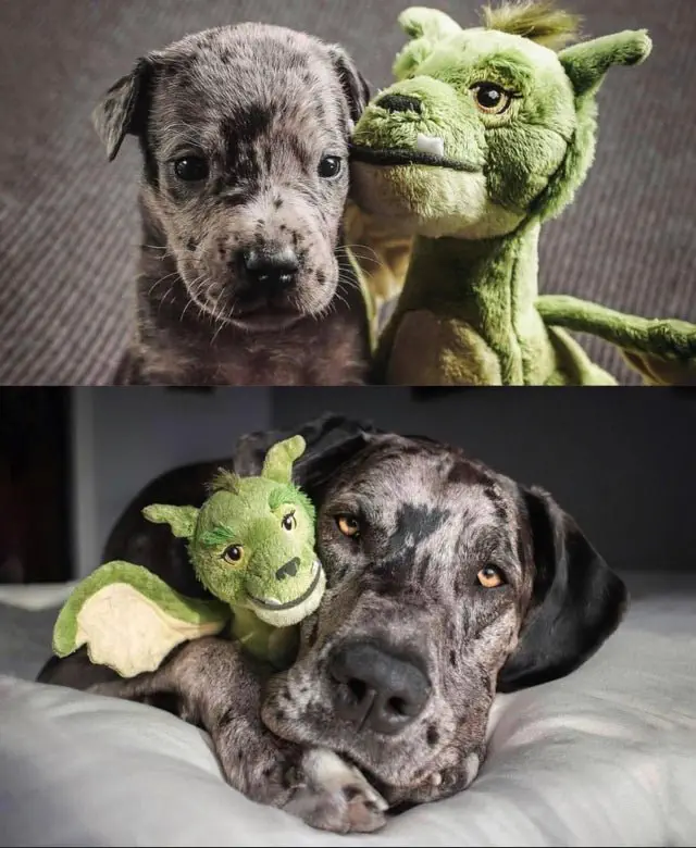 Image credit: Reddit | TheToxicLogic