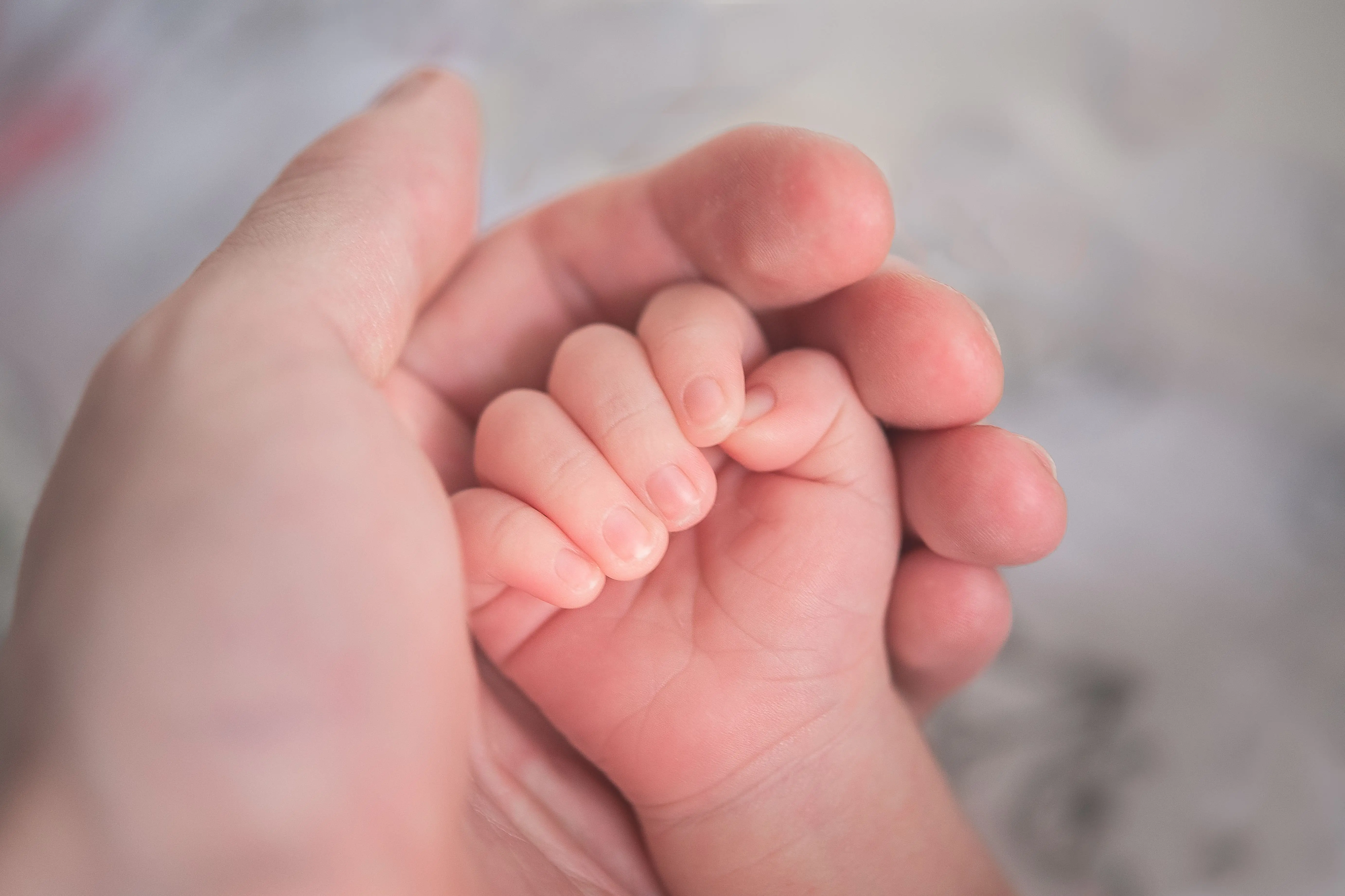 Image credit: Unsplash | Hu Chen