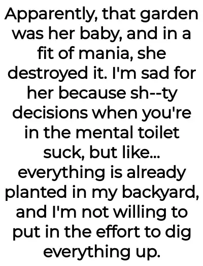 Image credit: noreferenceforyou | noreferenceforyou