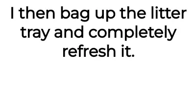 Image credit: throwcatpee | throwcatpee